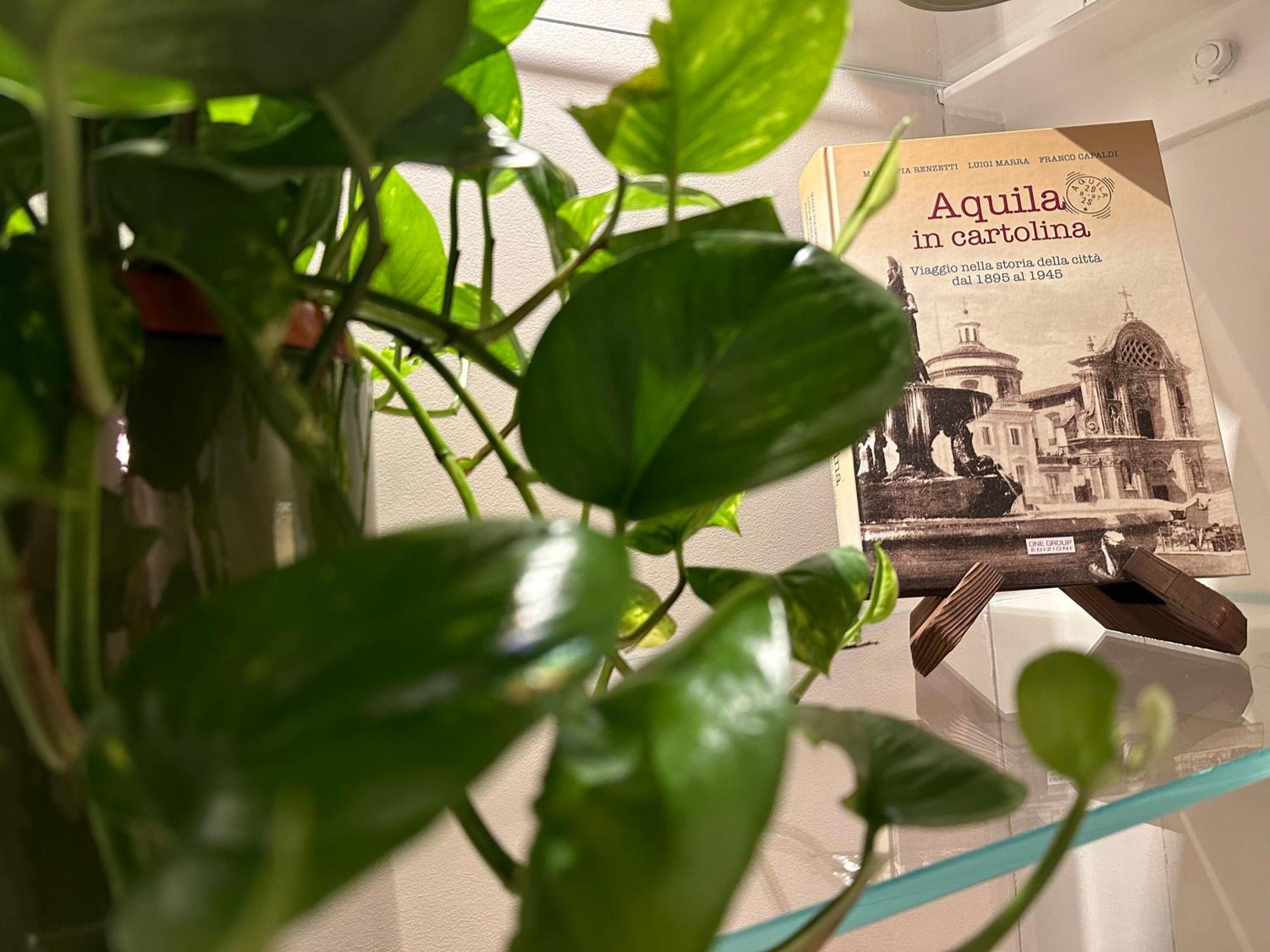 Domus Merulae B&B LʼAquila Kültér fotó